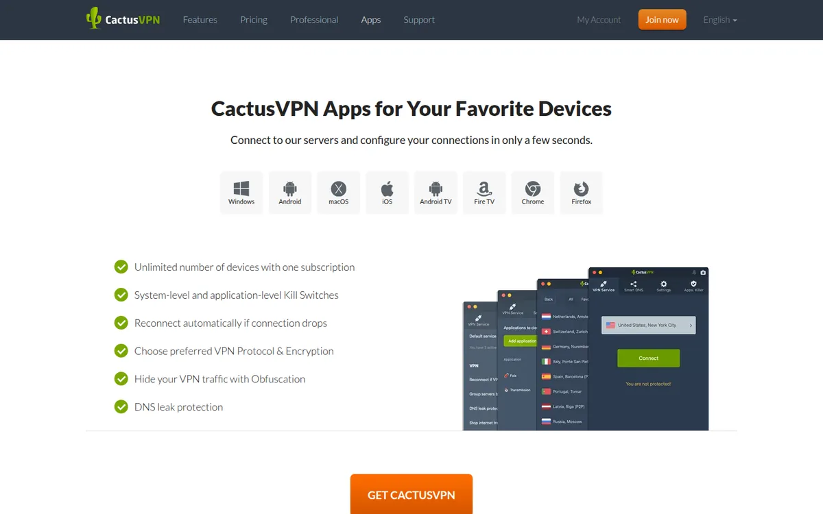 Screenshot: CactusVPN setup instructions