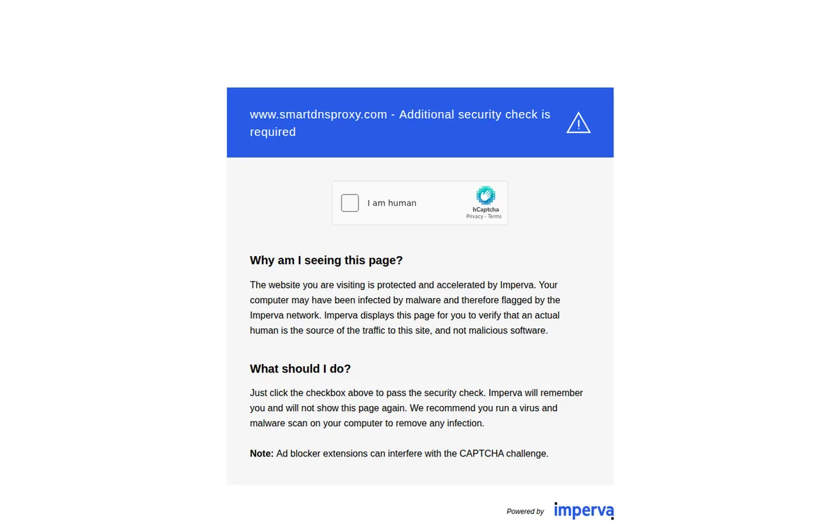 Screenshot: Smart DNS Proxy homepage