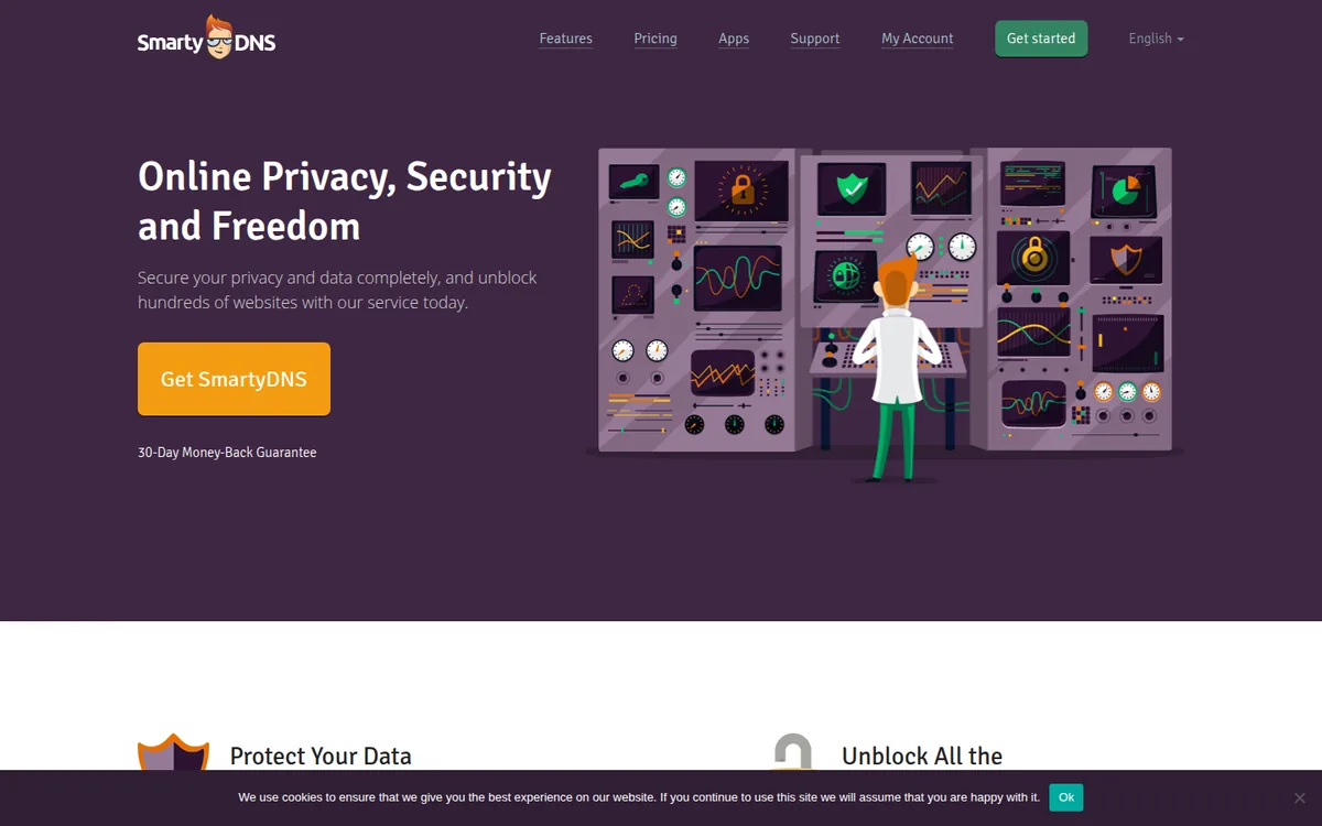 Screenshot: SmartyDNS homepage